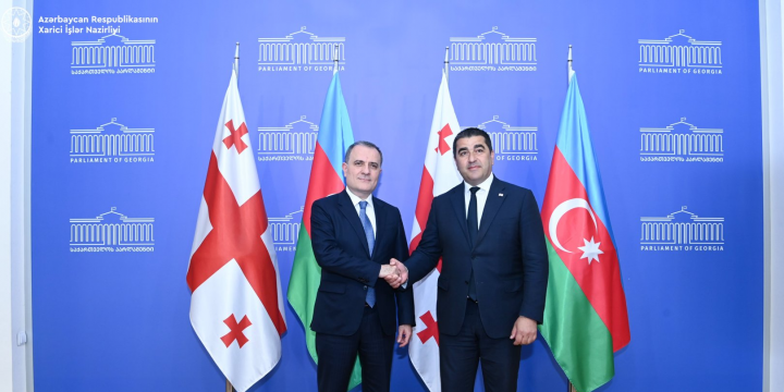 Ceyhun Bayramov Gürcüstanın spikeri ilə strateji tərəfdaşlığı müzakirə edib