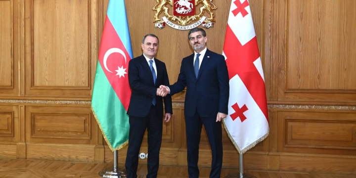 Ceyhun Bayramov Gürcüstan Prezidenti ilə görüşüb
