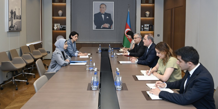 UNICEF-in nümayəndəsinin Azərbaycandakı diplomatik fəaliyyəti başa çatıb 