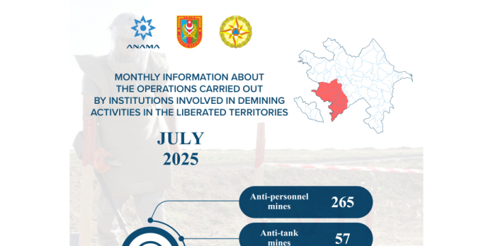 ANAMA: 265 mines and 2,007 UXOs neutralized last month