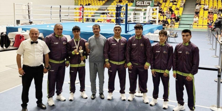 Azerbaijani boxer Babayev captures silver in Germany