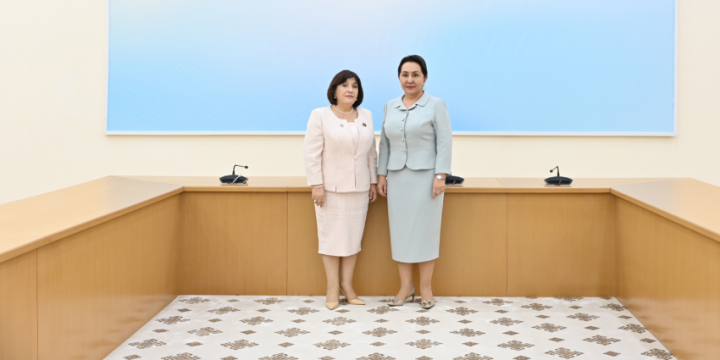 Speaker of Azerbaijan’s Parliament meets with Uzbek counterpart