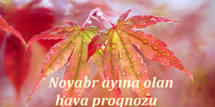 Noyabr ayının hava proqnozu açıqlanıb