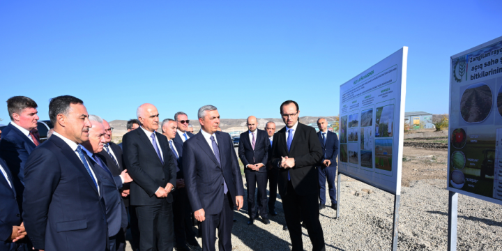 Ağalı kəndində kənd təsərrüfatı təyinatlı torpaq sahələrinə baxış keçirilib