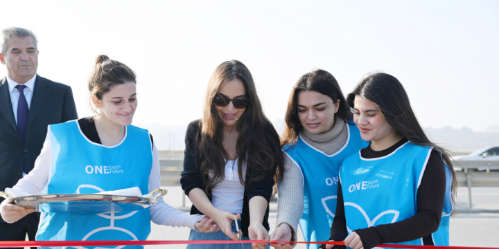 Heydər Əliyev Fondunun vitse-prezidenti Leyla Əliyeva Qaradağda yeni parkın açılışında iştirak edib 