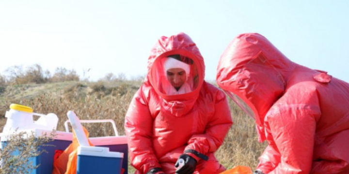 Quş qripi xəstəliyinə qarşı epizootoloji monitorinq keçiriləcək