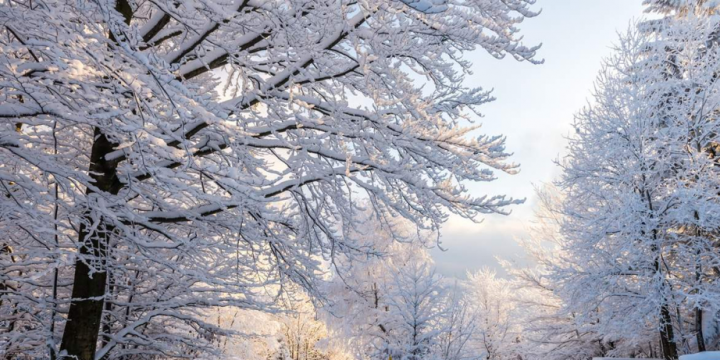 Qış fəslinin Azərbaycana daxil olma vaxtı açıqlanıb