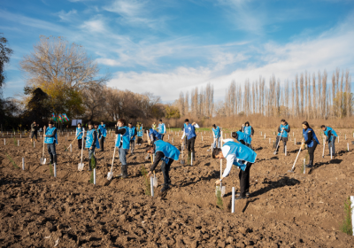 IDEA Sabirabad və Cəlilabad rayonlarında kütləvi ağacəkmə aksiyaları təşkil edib