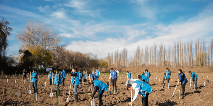 IDEA organizes tree-planting campaigns in Sabirabad and Jalilabad districts