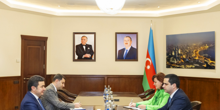 Azerbaijan and Slovakia discuss aviation cooperation