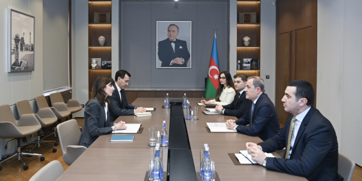 BMT-nin Azərbaycandakı rezident əlaqələndiricisinin ölkəmizdəki fəaliyyəti başa çatır