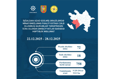 ANAMA neutralizes 90 mines and 758 UXOs over past week