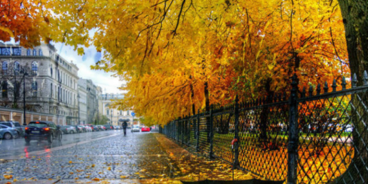 Sabah bəzi yerlərdə yağış yağacaq