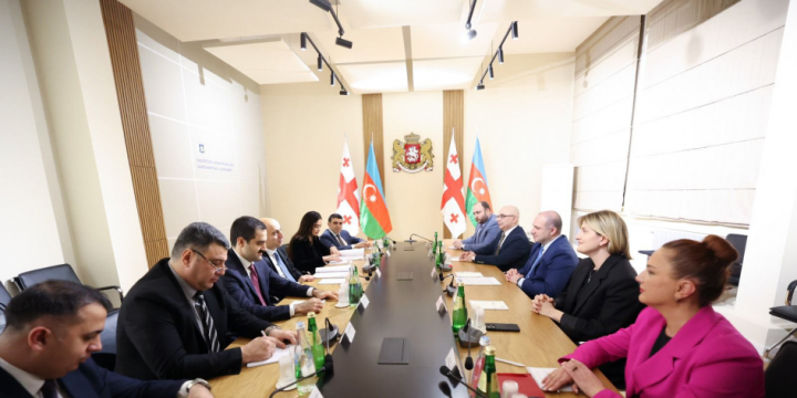 Azerbaijan, Georgia explore prospects for cooperation in education and science