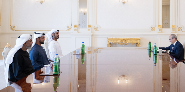 President Ilham Aliyev received heads of several UAE companies
