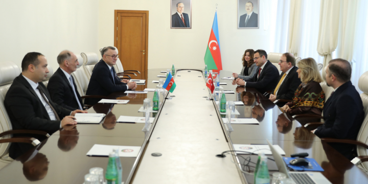 Azerbaijan, Türkiye explore conducting joint research in reproductive medicine
