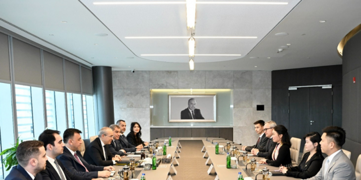 Azerbaijan, Vietnam mull cooperation on EV production