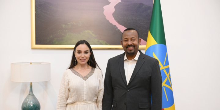 Heydər Əliyev Fondunun vitse-prezidenti Leyla Əliyeva Efiopiyanın Baş naziri ilə görüşüb