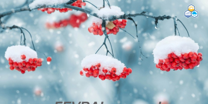 Fevral ayına olan hava proqnozu açıqlanıb