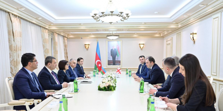 Azerbaijan, Georgia explore interparliamentary ties