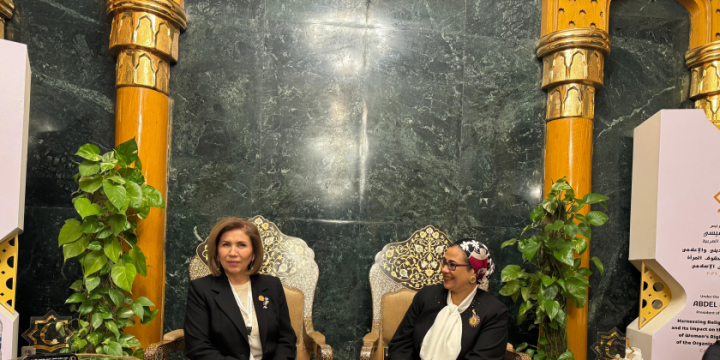 Azerbaijan, Egypt discuss cooperation on women issues