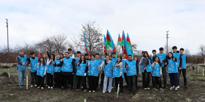 IDEA Şəki və Qəbələdə kütləvi ağacəkmə aksiyası təşkil edib