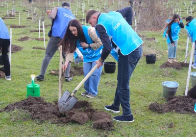 IDEA Gədəbəydə kütləvi ağacəkmə aksiyası təşkil edib