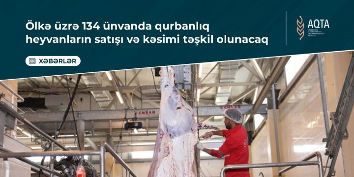 Qurbanlıq heyvanların satış və kəsim ünvanları açıqlandı