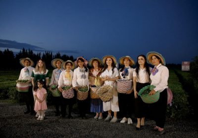 Leyla Əliyeva Lənkəranda “Yaşıl çay” fermer təsərrüfatı ilə tanış olub