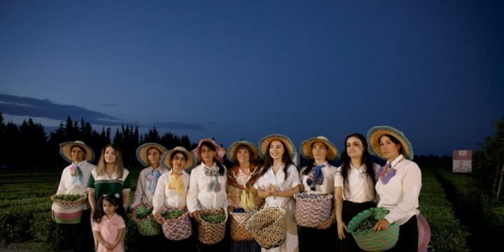 Leyla Əliyeva Lənkəranda “Yaşıl çay” fermer təsərrüfatı ilə tanış olub