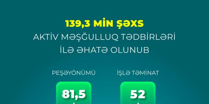 4 ayda 52 min şəxs işlə təmin olunub